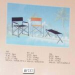 Beach Chair
