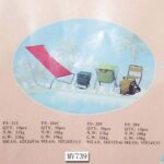 Beach Chair