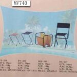 Beach Chair