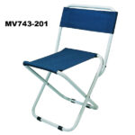 Beach Chair