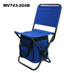 Beach Chair