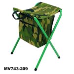 Beach Chair