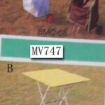 MV747.jpg