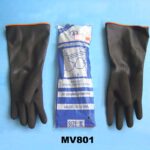 MV801.jpg