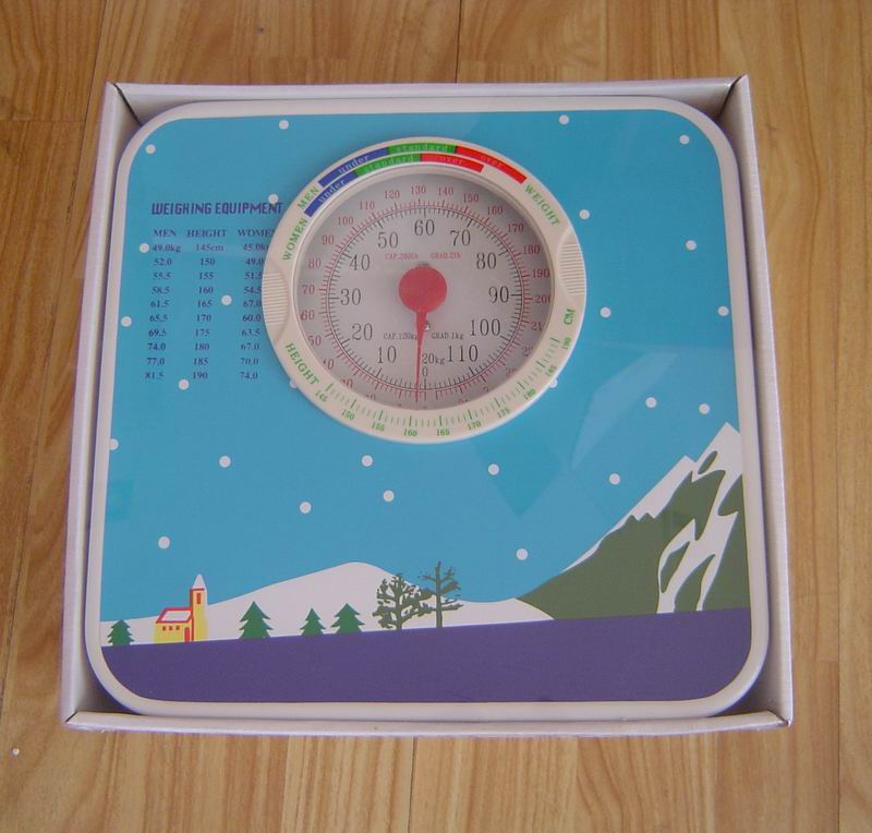 MV936C Health Scale